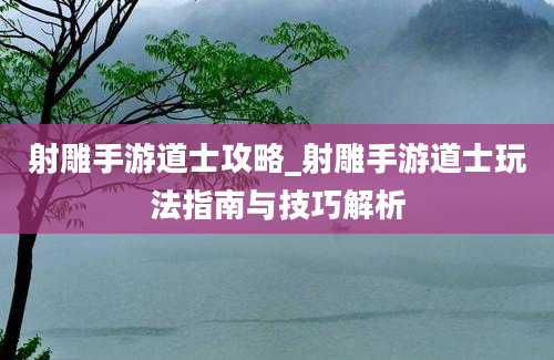 射雕手游道士攻略_射雕手游道士玩法指南与技巧解析