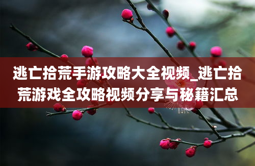 逃亡拾荒手游攻略大全视频_逃亡拾荒游戏全攻略视频分享与秘籍汇总