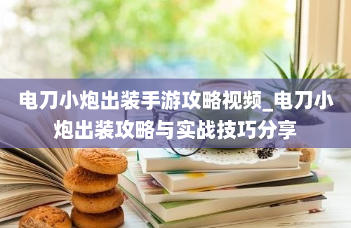 电刀小炮出装手游攻略视频_电刀小炮出装攻略与实战技巧分享