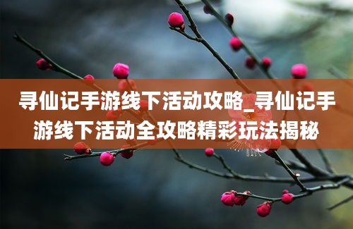 寻仙记手游线下活动攻略_寻仙记手游线下活动全攻略精彩玩法揭秘