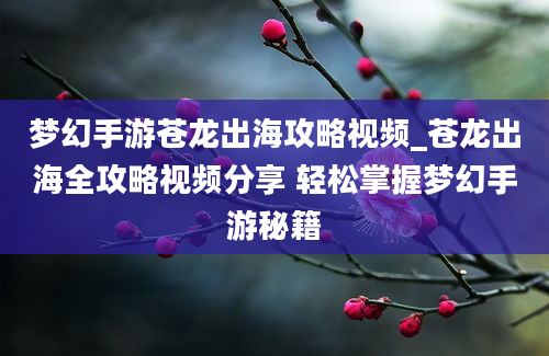 梦幻手游苍龙出海攻略视频_苍龙出海全攻略视频分享 轻松掌握梦幻手游秘籍