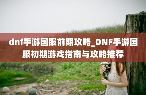 dnf手游国服前期攻略_DNF手游国服初期游戏指南与攻略推荐