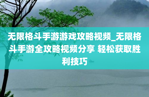 无限格斗手游游戏攻略视频_无限格斗手游全攻略视频分享 轻松获取胜利技巧