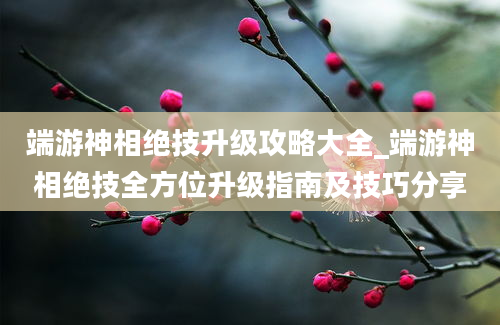 端游神相绝技升级攻略大全_端游神相绝技全方位升级指南及技巧分享