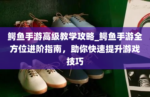 鳄鱼手游高级教学攻略_鳄鱼手游全方位进阶指南，助你快速提升游戏技巧