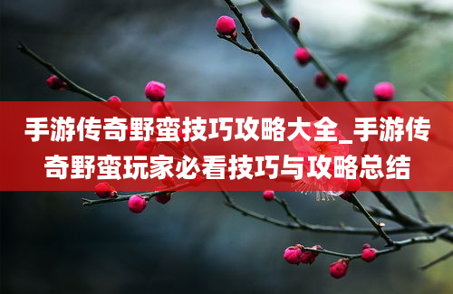 手游传奇野蛮技巧攻略大全_手游传奇野蛮玩家必看技巧与攻略总结