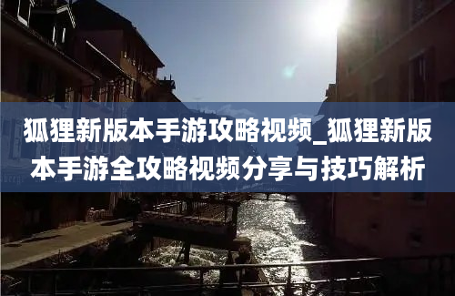 狐狸新版本手游攻略视频_狐狸新版本手游全攻略视频分享与技巧解析