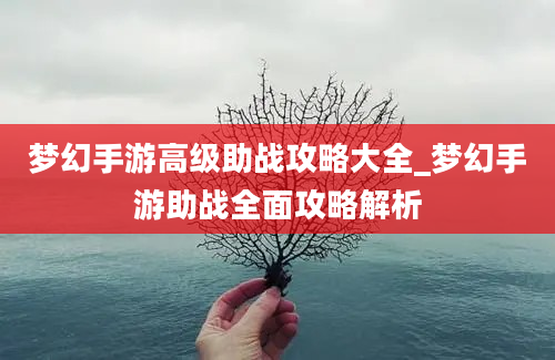 梦幻手游高级助战攻略大全_梦幻手游助战全面攻略解析