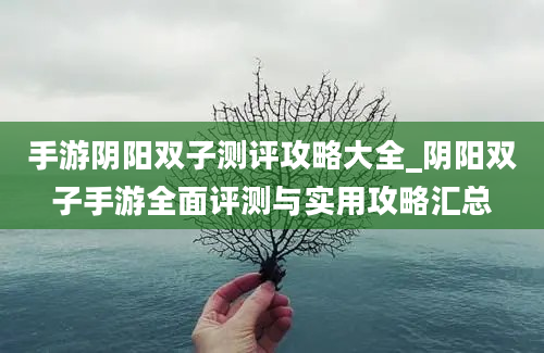 手游阴阳双子测评攻略大全_阴阳双子手游全面评测与实用攻略汇总