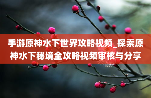 手游原神水下世界攻略视频_探索原神水下秘境全攻略视频审核与分享