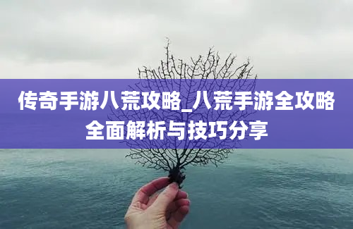 传奇手游八荒攻略_八荒手游全攻略全面解析与技巧分享