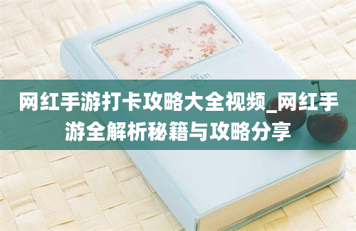 网红手游打卡攻略大全视频_网红手游全解析秘籍与攻略分享