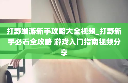 打野端游新手攻略大全视频_打野新手必看全攻略 游戏入门指南视频分享