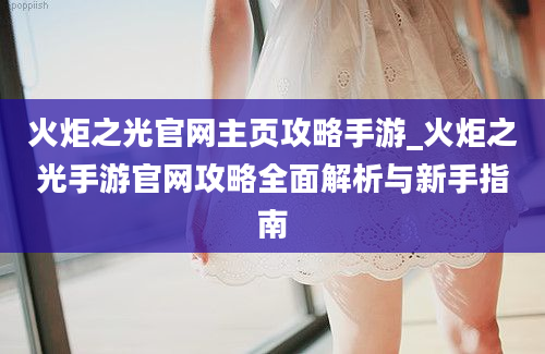 火炬之光官网主页攻略手游_火炬之光手游官网攻略全面解析与新手指南