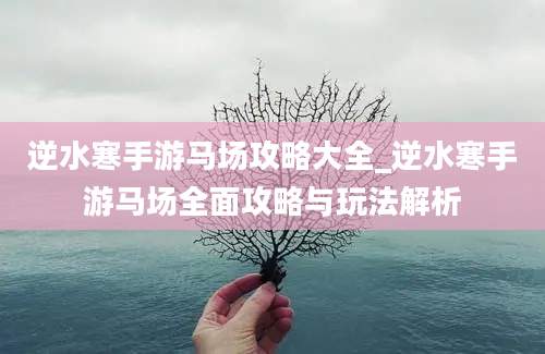 逆水寒手游马场攻略大全_逆水寒手游马场全面攻略与玩法解析