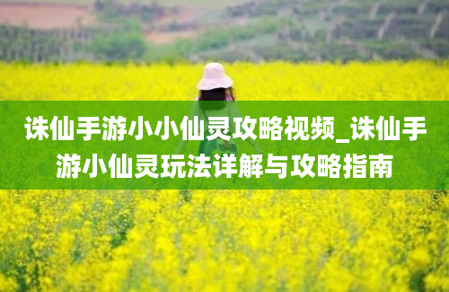 诛仙手游小小仙灵攻略视频_诛仙手游小仙灵玩法详解与攻略指南