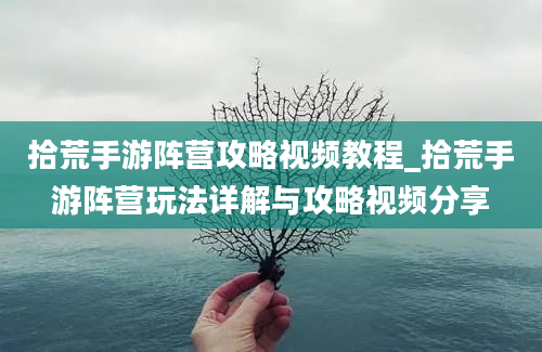 拾荒手游阵营攻略视频教程_拾荒手游阵营玩法详解与攻略视频分享