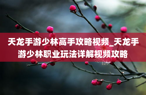 天龙手游少林高手攻略视频_天龙手游少林职业玩法详解视频攻略