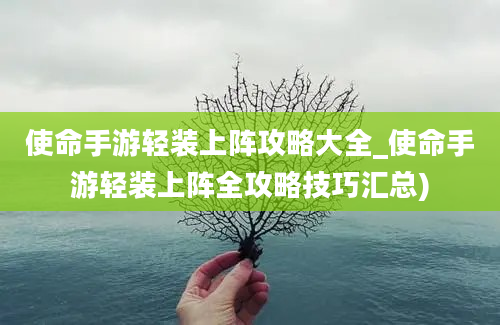 使命手游轻装上阵攻略大全_使命手游轻装上阵全攻略技巧汇总)