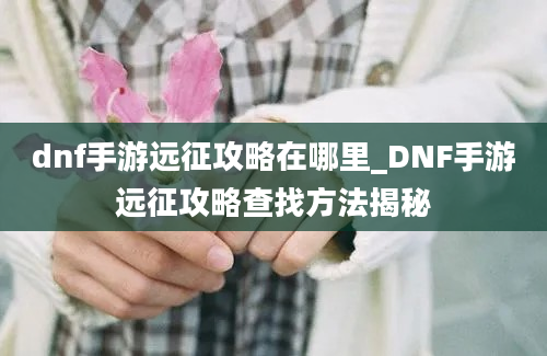 dnf手游远征攻略在哪里_DNF手游远征攻略查找方法揭秘