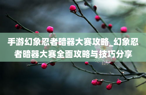 手游幻象忍者暗器大赛攻略_幻象忍者暗器大赛全面攻略与技巧分享