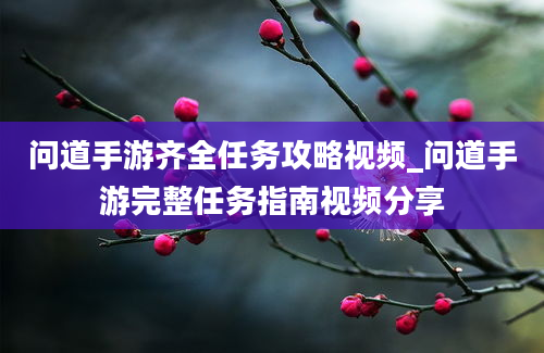 问道手游齐全任务攻略视频_问道手游完整任务指南视频分享