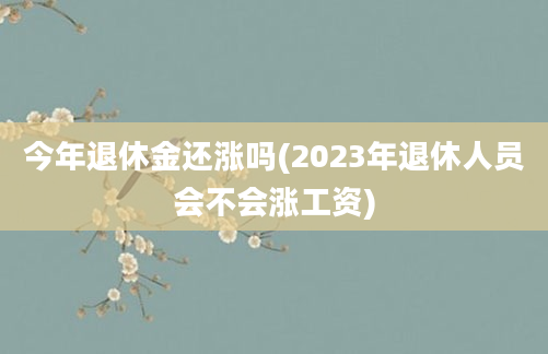 今年退休金还涨吗(2023年退休人员会不会涨工资)