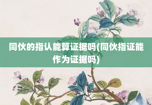 同伙的指认能算证据吗(同伙指证能作为证据吗)