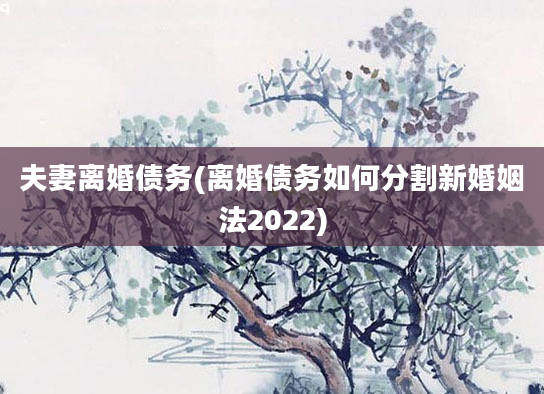 夫妻离婚债务(离婚债务如何分割新婚姻法2022)