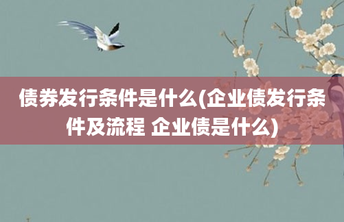 债券发行条件是什么(企业债发行条件及流程 企业债是什么)