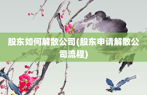 股东如何解散公司(股东申请解散公司流程)