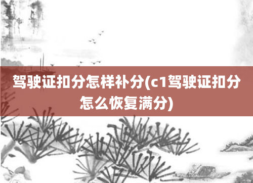 驾驶证扣分怎样补分(c1驾驶证扣分怎么恢复满分)