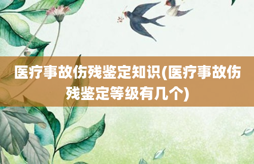 医疗事故伤残鉴定知识(医疗事故伤残鉴定等级有几个)