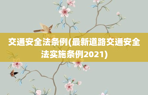 交通安全法条例(最新道路交通安全法实施条例2021)