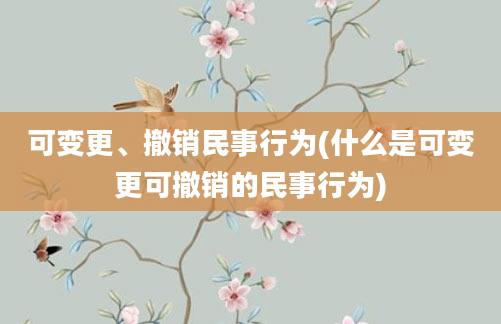 可变更、撤销民事行为(什么是可变更可撤销的民事行为)