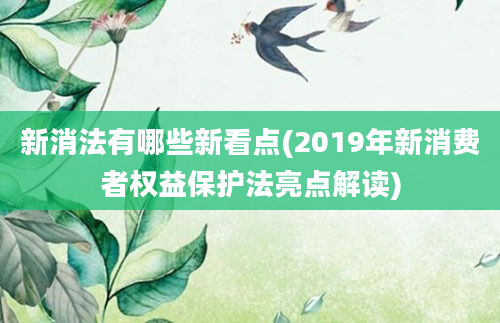 新消法有哪些新看点(2019年新消费者权益保护法亮点解读)