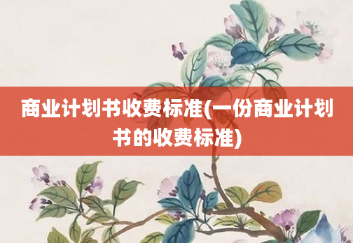 商业计划书收费标准(一份商业计划书的收费标准)