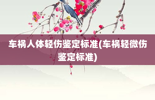 车祸人体轻伤鉴定标准(车祸轻微伤鉴定标准)