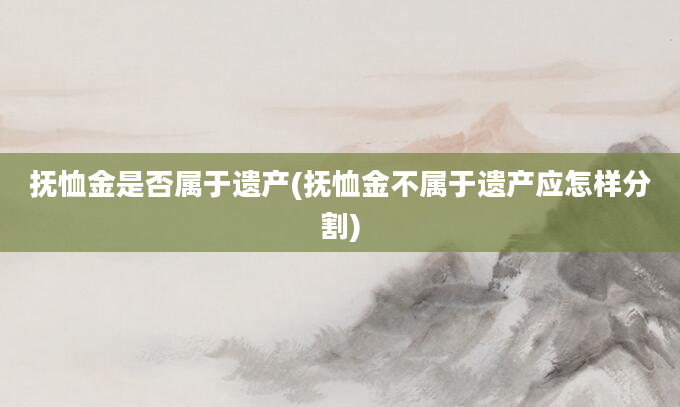 抚恤金是否属于遗产(抚恤金不属于遗产应怎样分割)