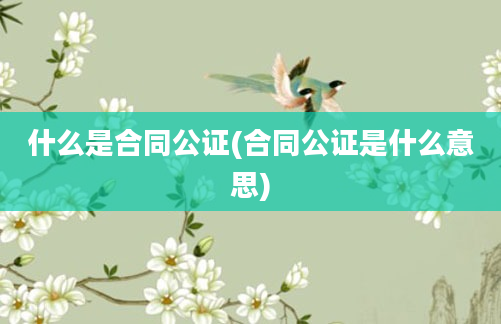 什么是合同公证(合同公证是什么意思)