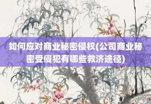 如何应对商业秘密侵权(公司商业秘密受侵犯有哪些救济途径)