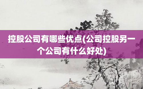 控股公司有哪些优点(公司控股另一个公司有什么好处)