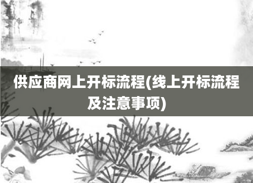 供应商网上开标流程(线上开标流程及注意事项)