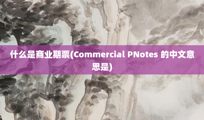 什么是商业期票(Commercial PNotes 的中文意思是)