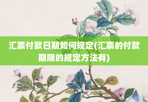 汇票付款日期如何规定(汇票的付款期限的规定方法有)