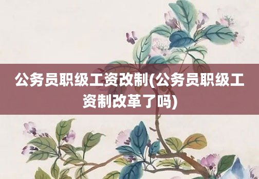 公务员职级工资改制(公务员职级工资制改革了吗)