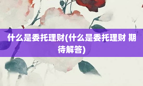 什么是委托理财(什么是委托理财 期待解答)