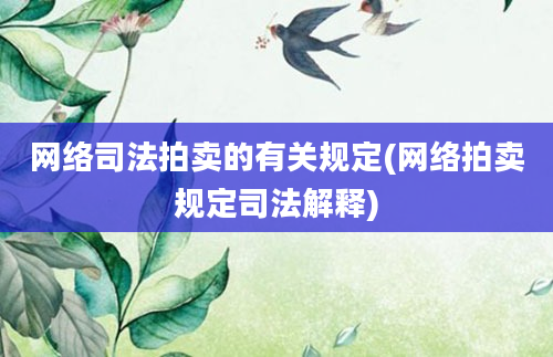 网络司法拍卖的有关规定(网络拍卖规定司法解释)