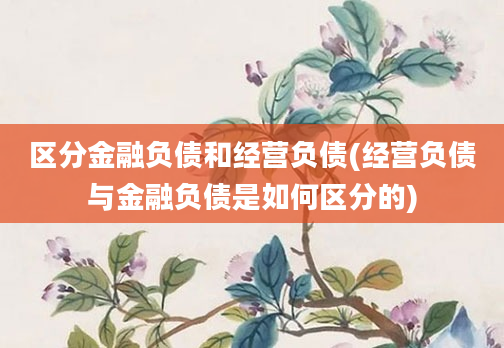 区分金融负债和经营负债(经营负债与金融负债是如何区分的)