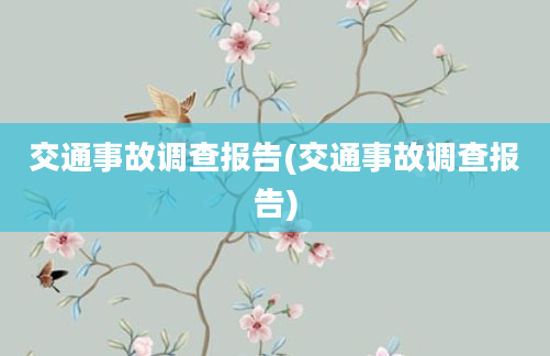 交通事故调查报告(交通事故调查报告)